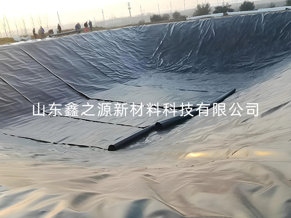 選擇防滲土工膜進(jìn)行小龍蝦養(yǎng)殖有哪些要點技巧？